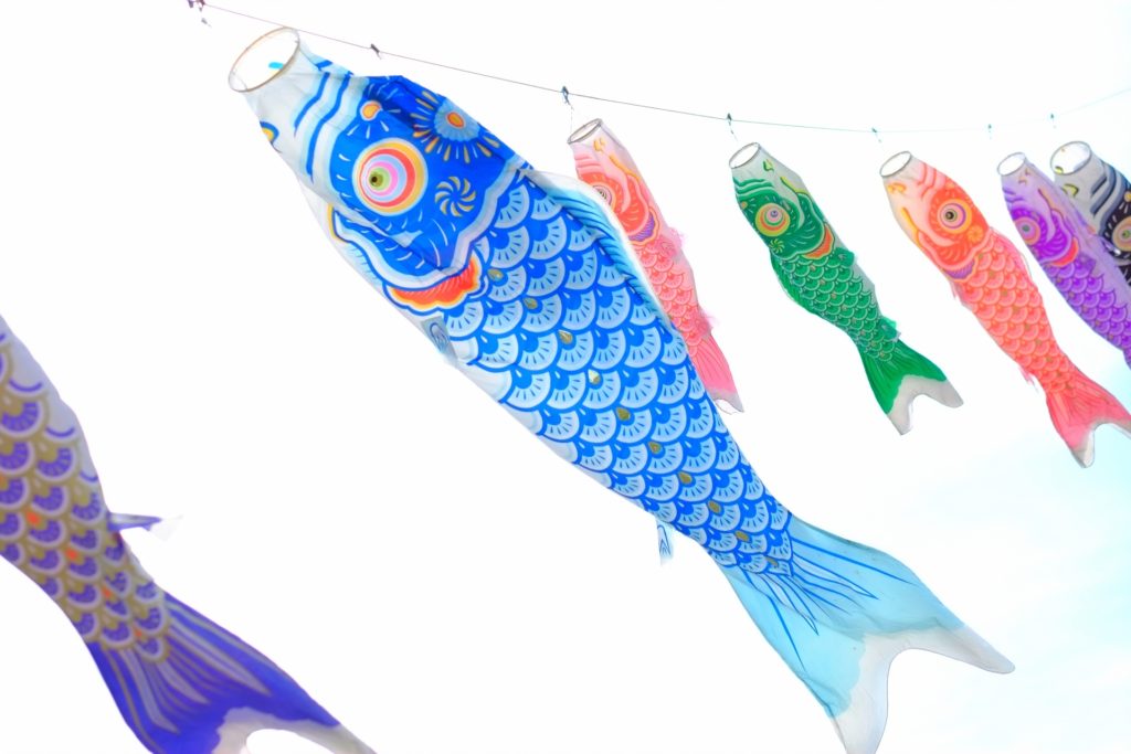 こいのぼりの順番って決まっているの？色には意味がある？