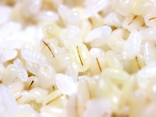もち麦と丸麦の違いは何？大麦β-グルカンはどちらに多く含まれる？